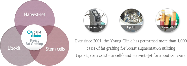 Breast Fat Grafting young-clinic